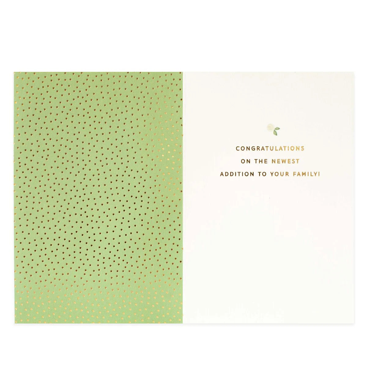 Signature New Baby Congratulations Card - Oh Baby! | Hallmark