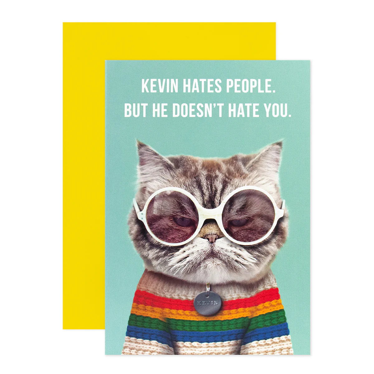 Shoebox Greeting Card - Kevin The Cat | Hallmark