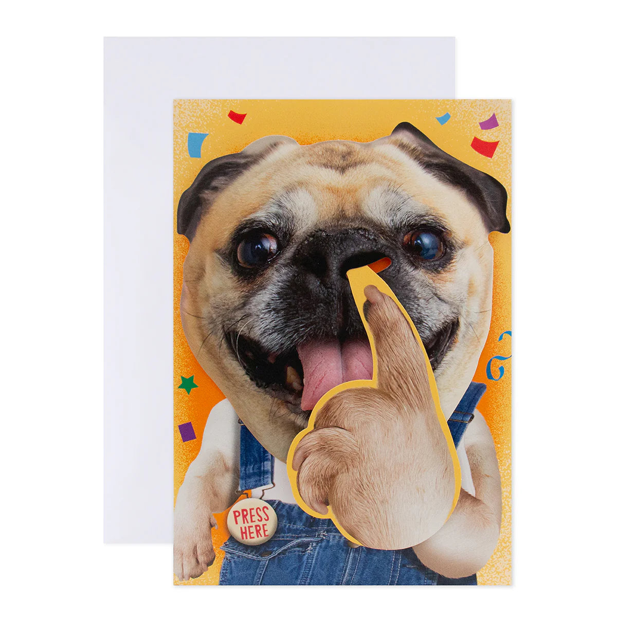 Interactive Sound Card - Pickin' Dog | Hallmark