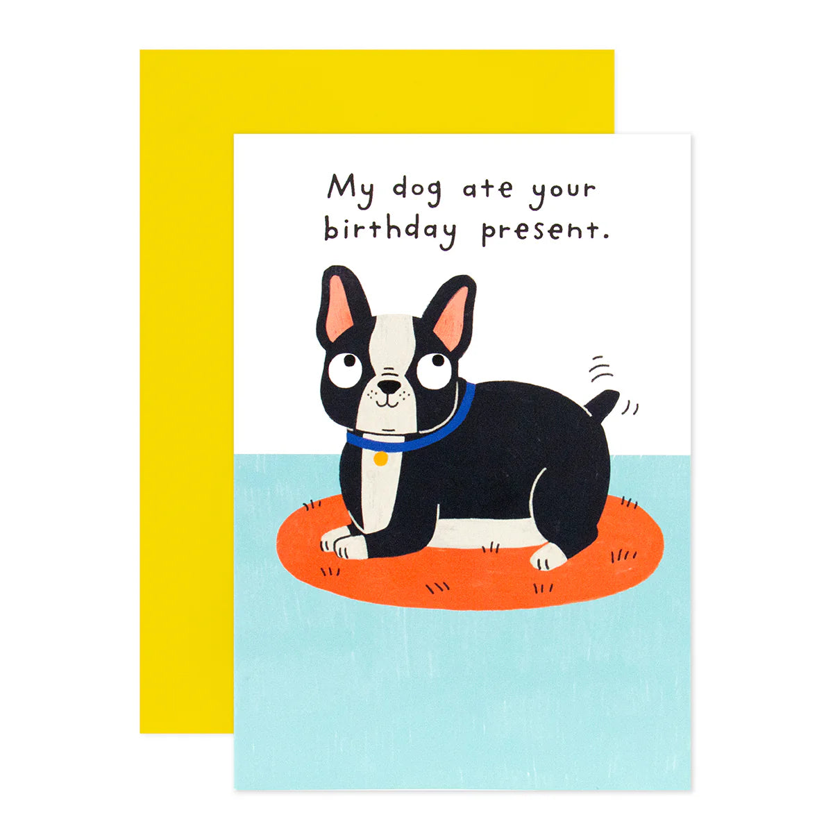 Shoebox Birthday Card - Dog Ate Your Present | Hallmark