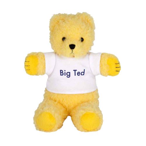 PLAY SCHOOL BEANIE SOFT TOYS