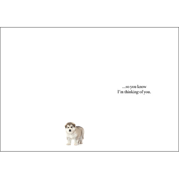 This Is A Hug | Animal Greeting Card