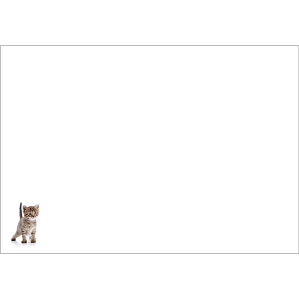 Just a note to say... | Animal Greeting Card