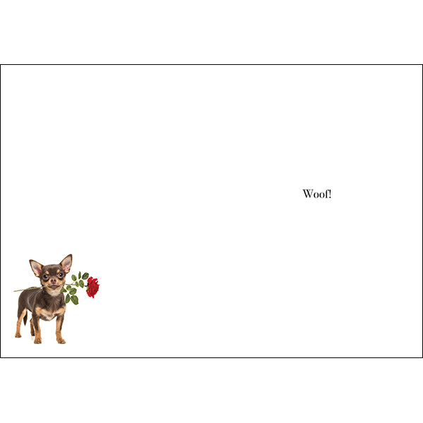 Puppy in a puddle | Dog Animal Birthday Card