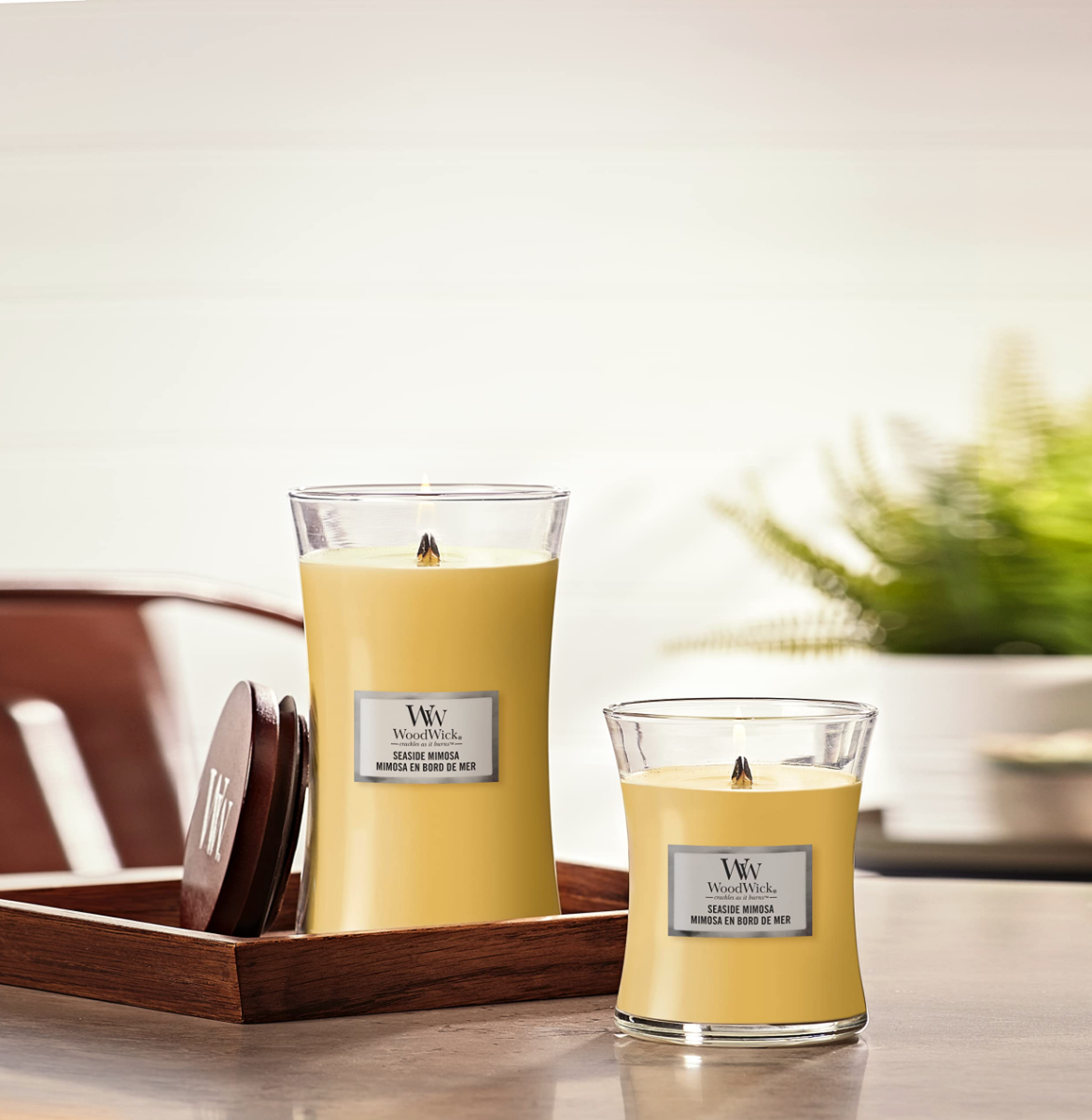 WoodWick Seaside Mimosa - Large