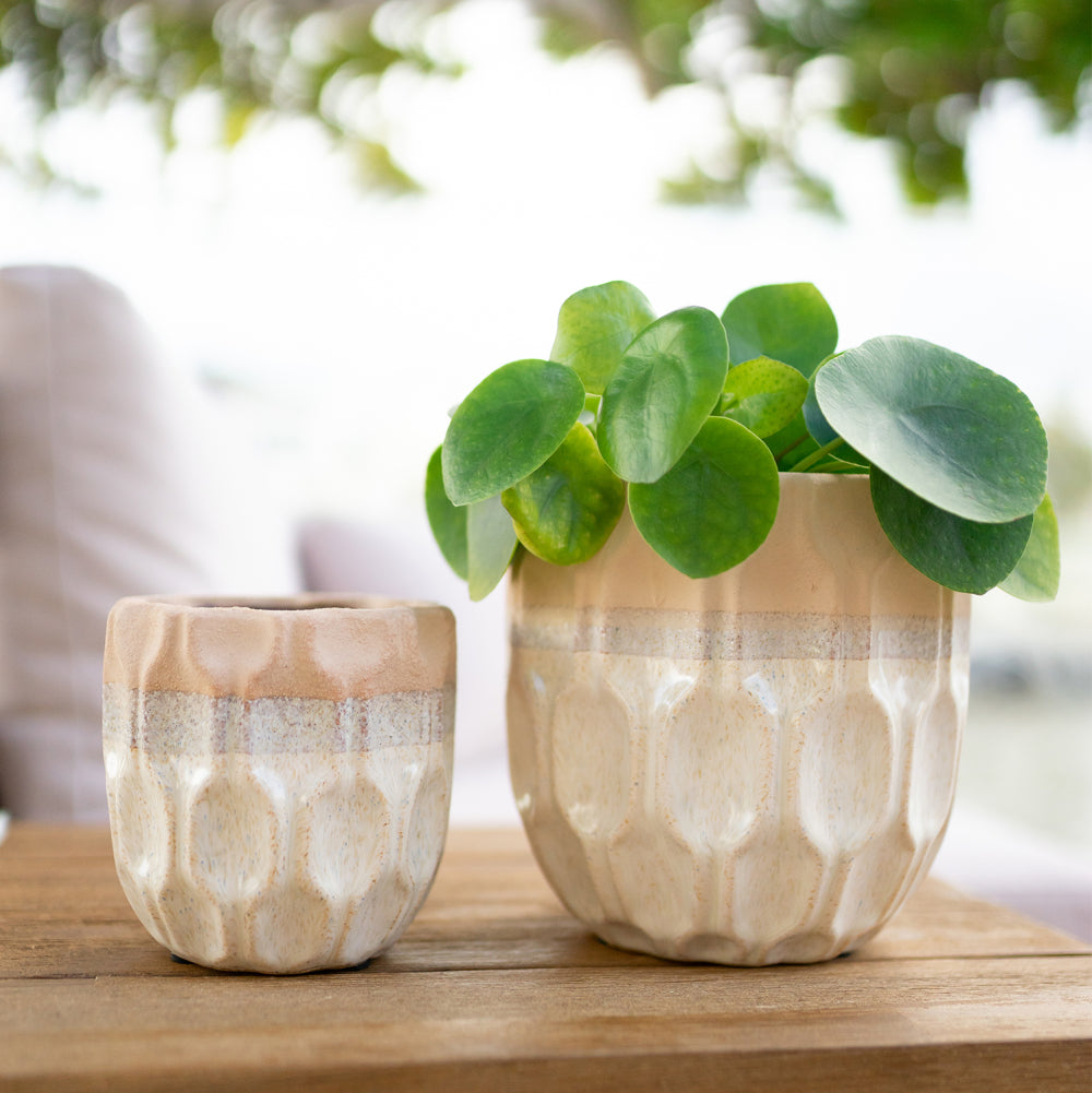 Desert Dunes Set of 2 Planters