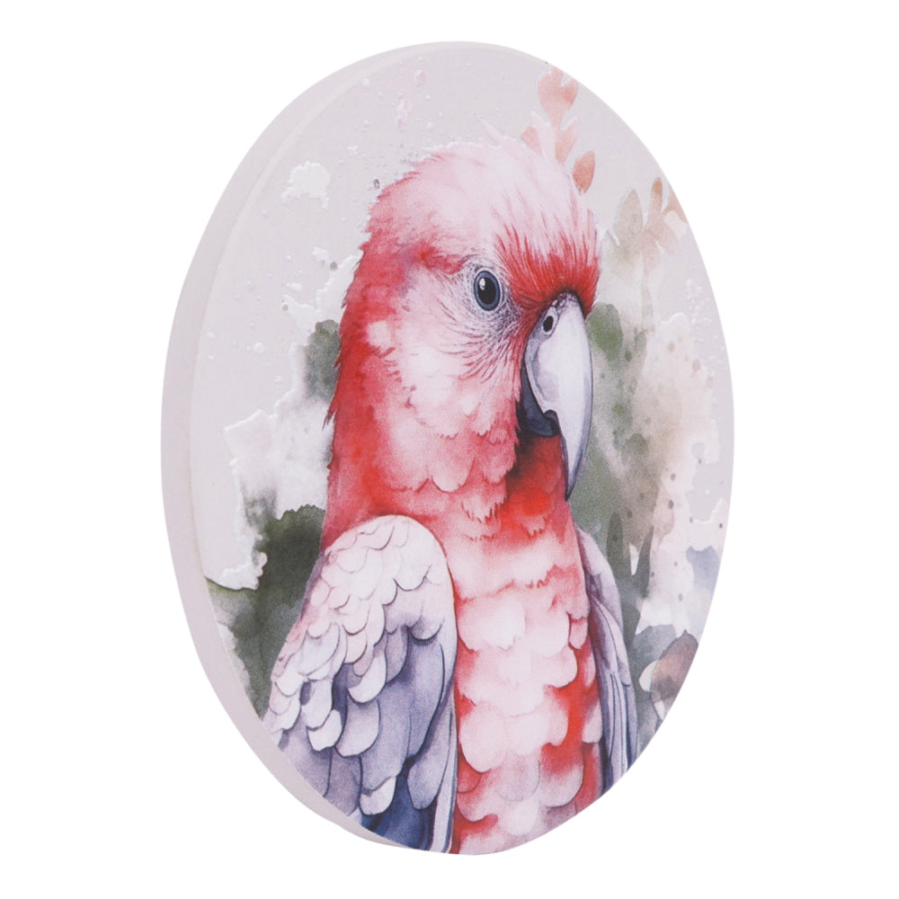 Native Blooms Ceramic Coasters | Splosh