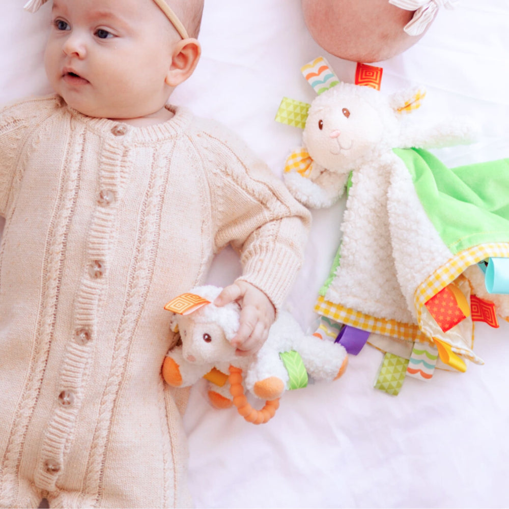 Taggies Sherbert Lamb Teether Rattle | Mary Meyer