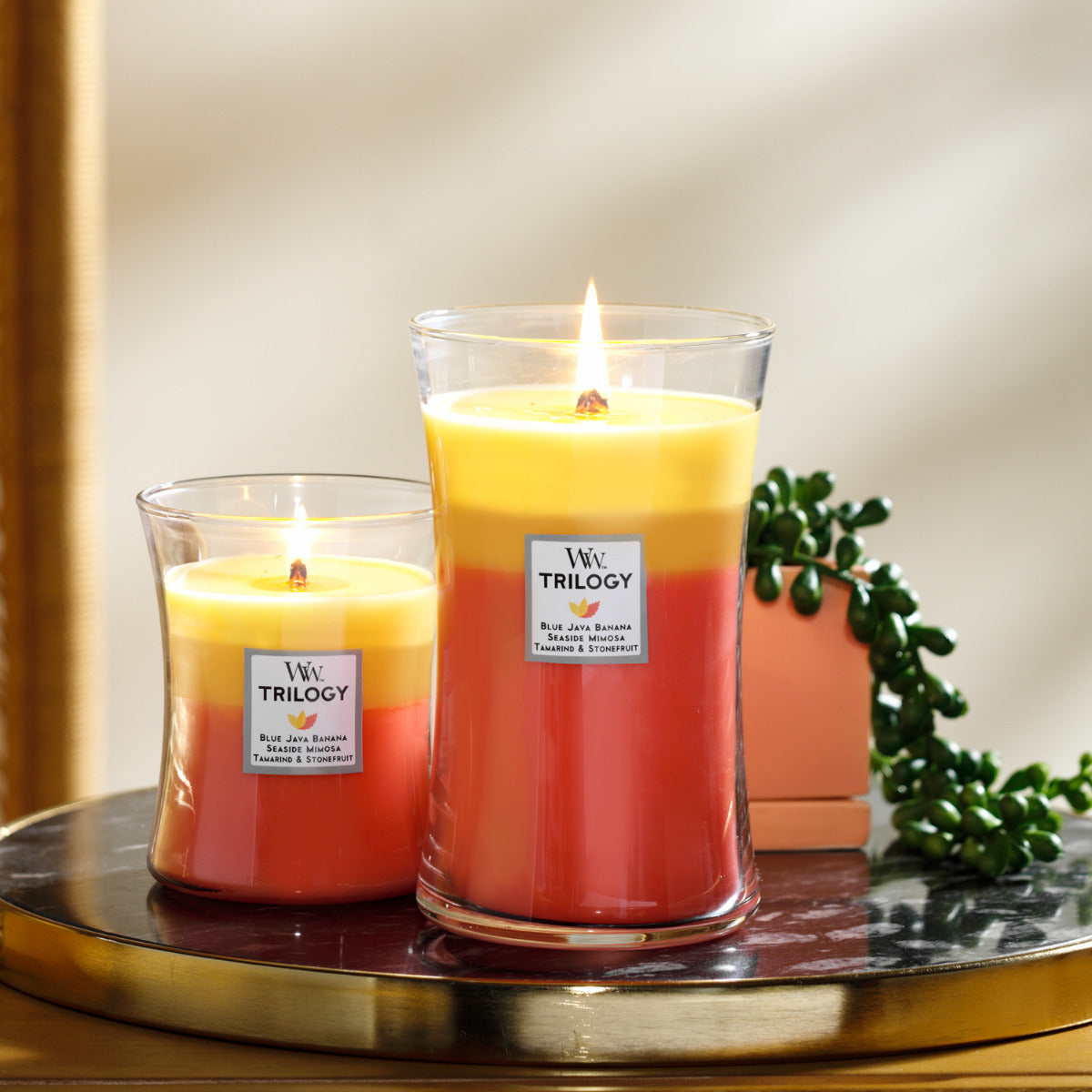 WoodWick Candle | Tropical Sunrise Trilogy | Large