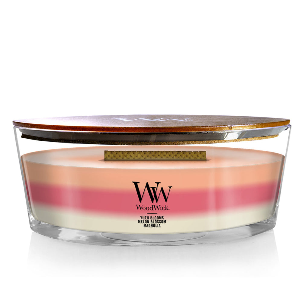 WoodWick Candle | Blooming Orchard Trilogy | Ellipse