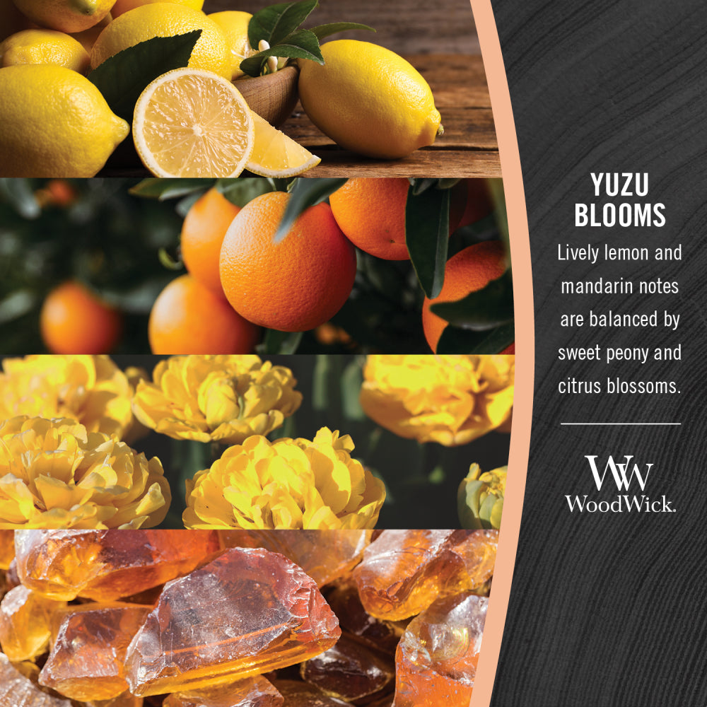 WoodWick Candle | Yuzu Blooms | Medium