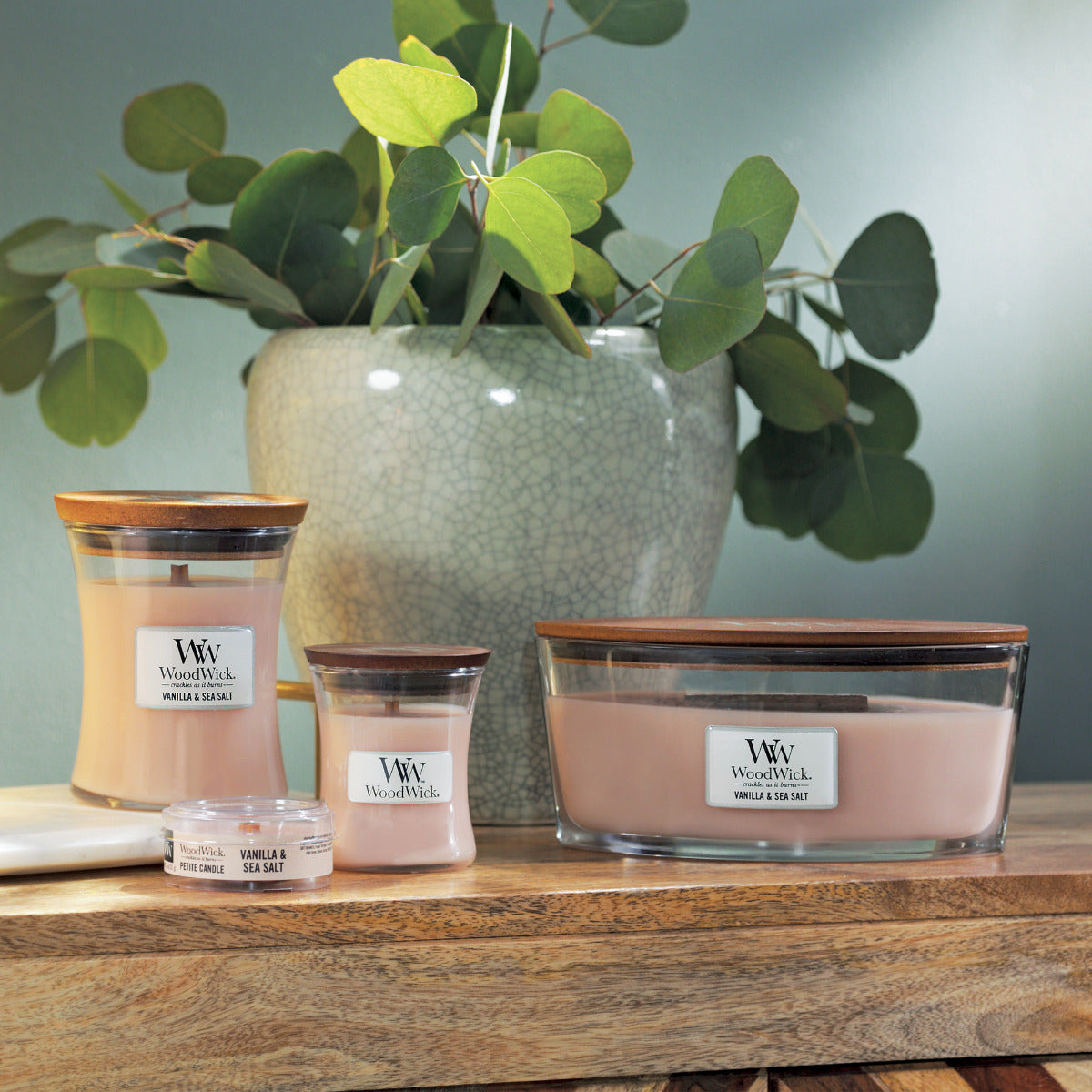 WoodWick Candle | Vanilla & Sea Salt | Medium