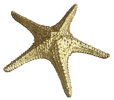 STARFISH GOLD 27 x 26.5 x 4.7CM