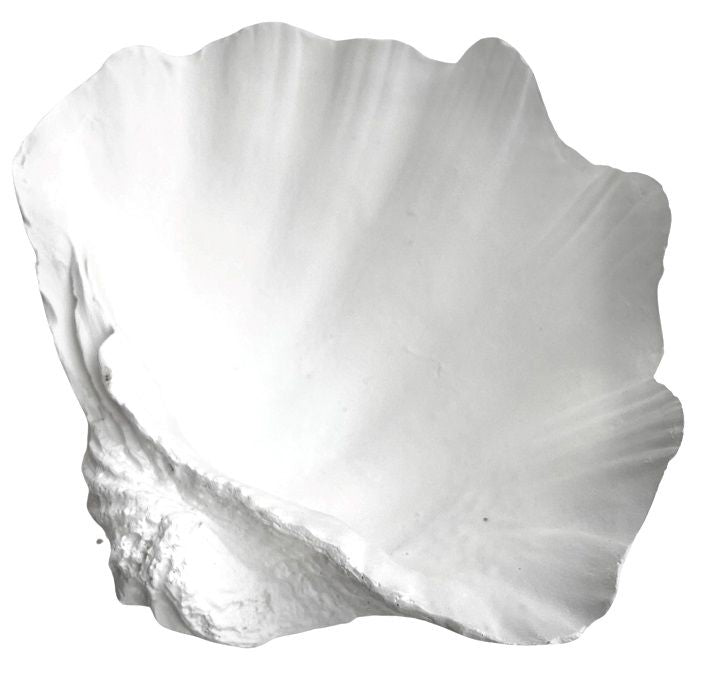STOUP SHELL 27 x 22 x 11CM
