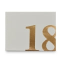 Guest Book 18th Rose Gold 27 x 19cm