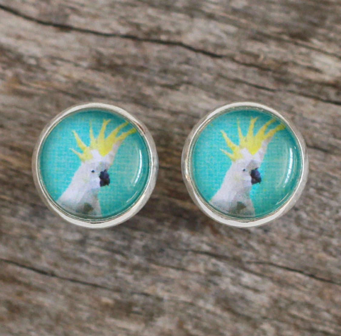 Cockatoo Studs