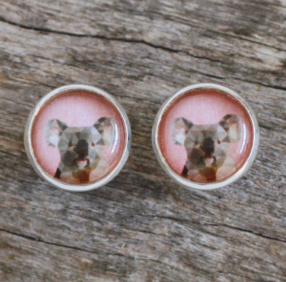 Koala Studs