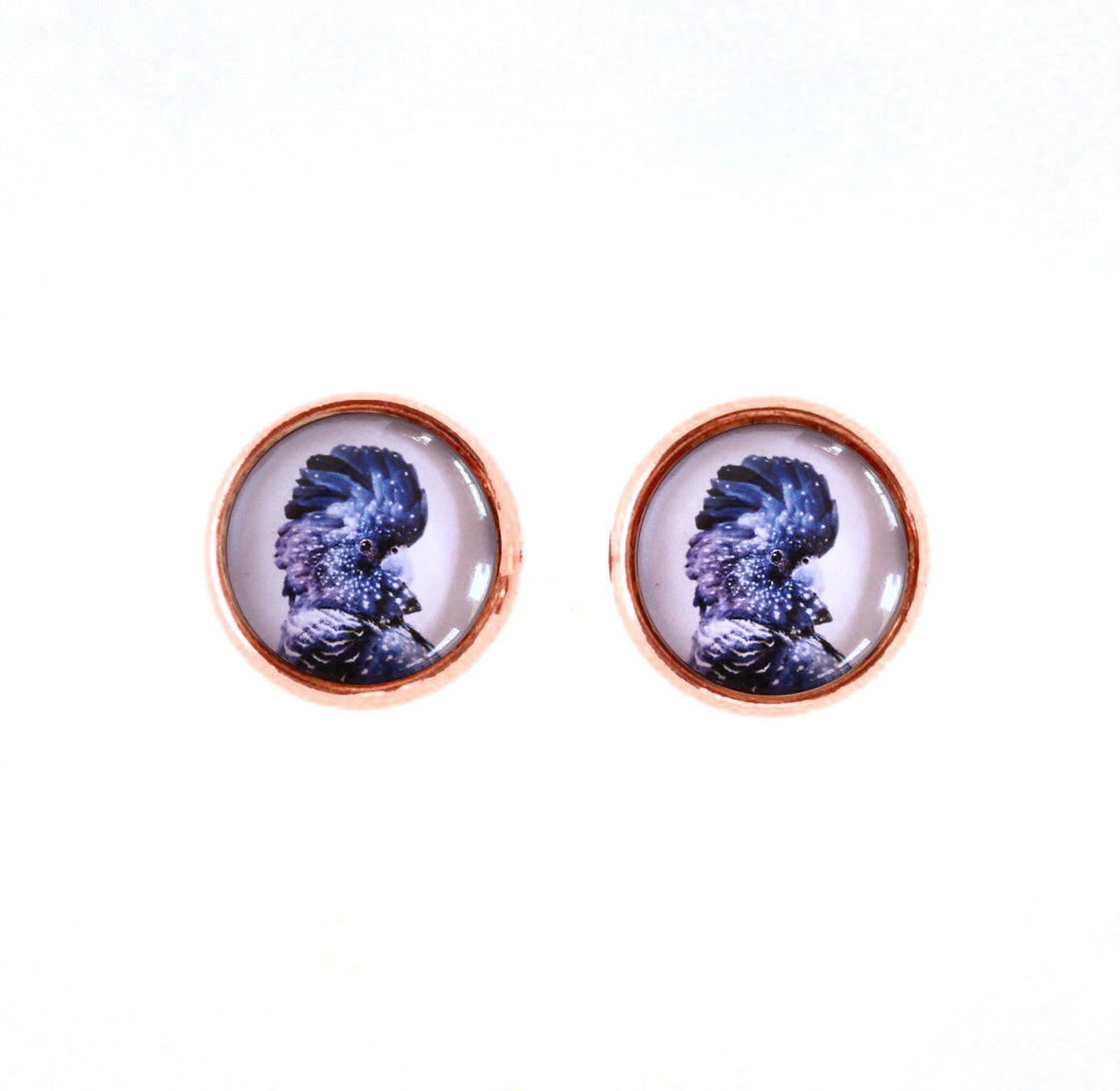Black Cockatoo Studs