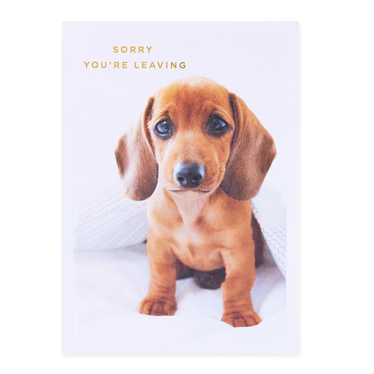 Colossal Farewell Greeting Card - Cute Dog | Hallmark