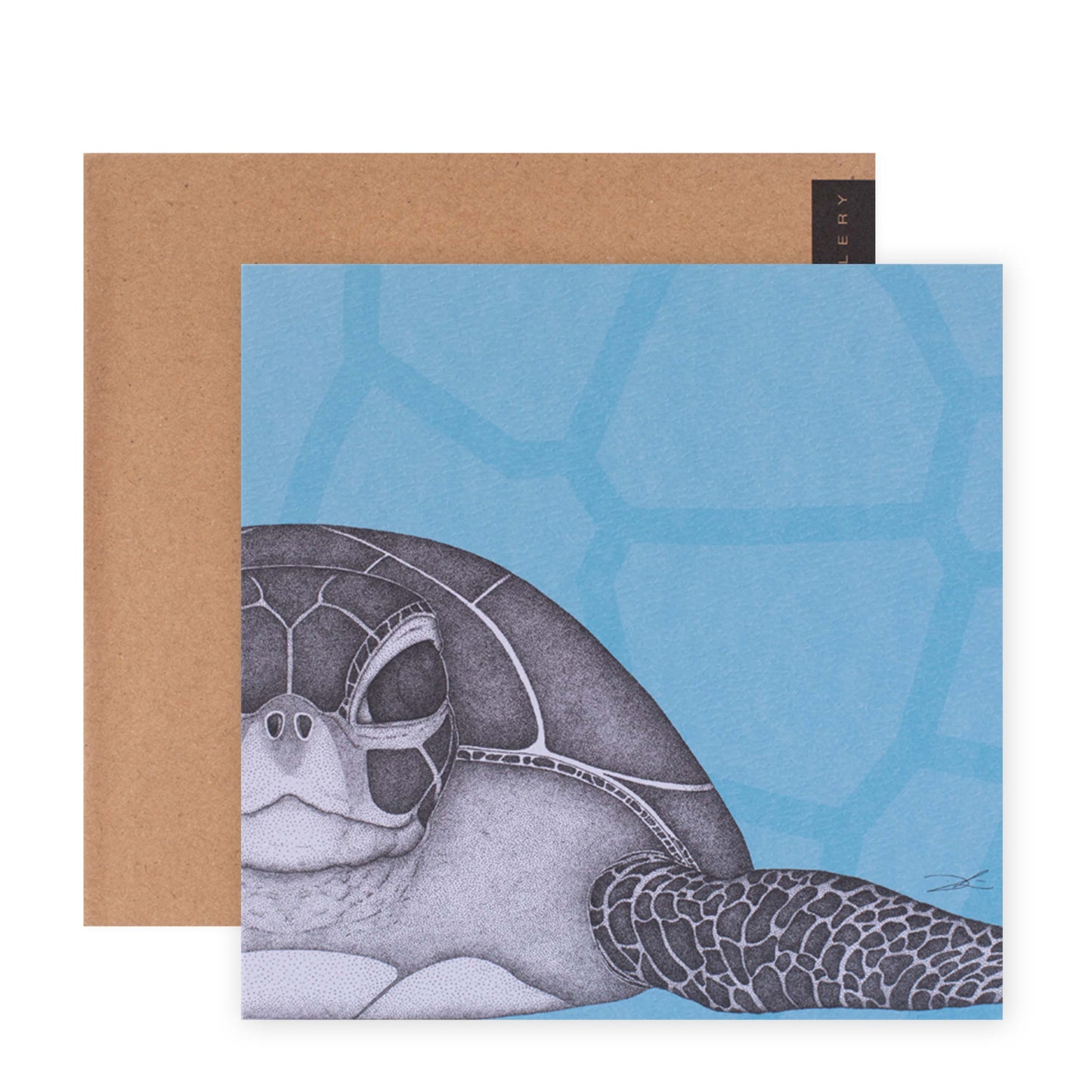 Dots by Donna Gallery Blank Greeting Card - Susan The Sea Turtle | Hallmark