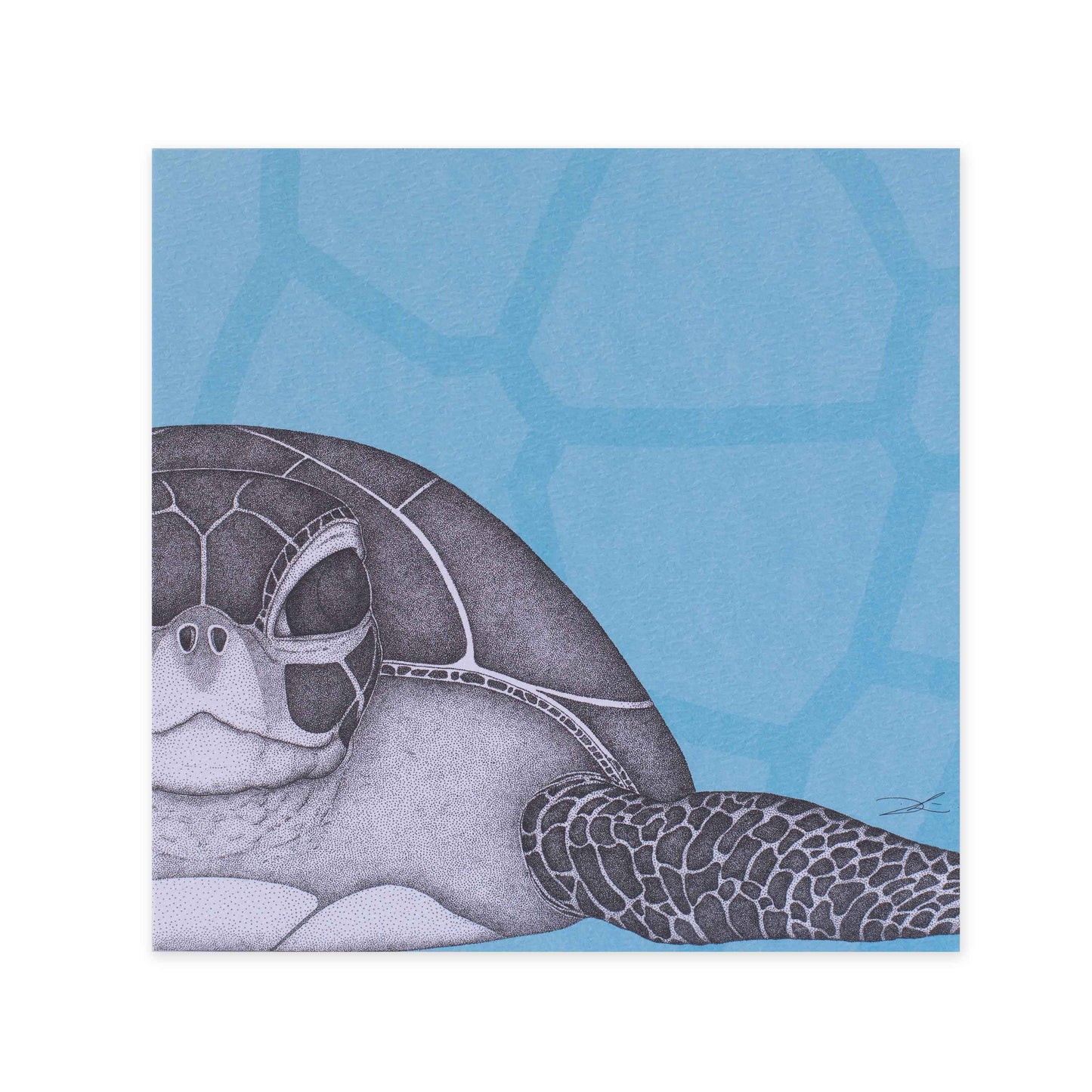 Dots by Donna Gallery Blank Greeting Card - Susan The Sea Turtle | Hallmark