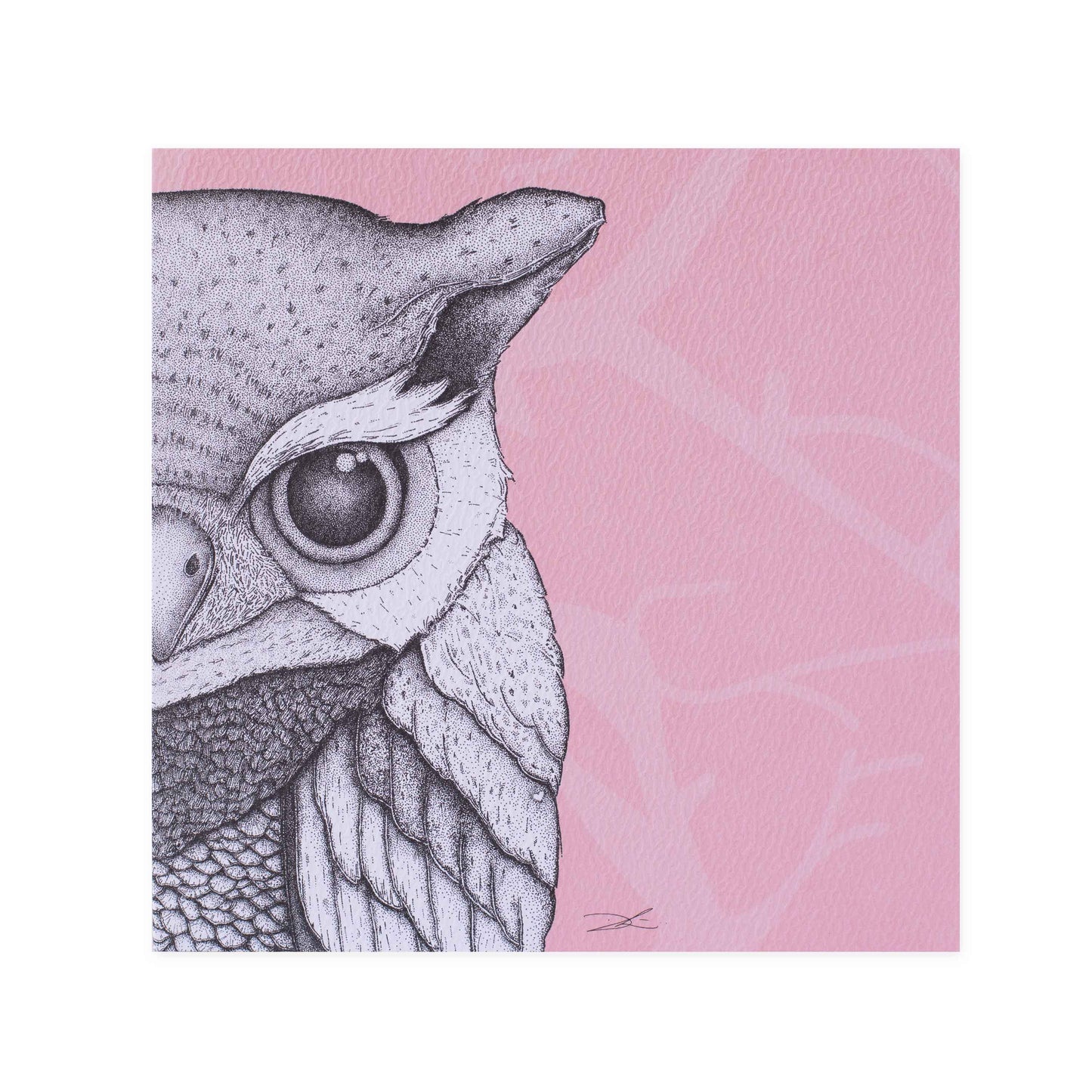 Dots by Donna Gallery Blank Greeting Card - Olivia The Owl | Hallmark