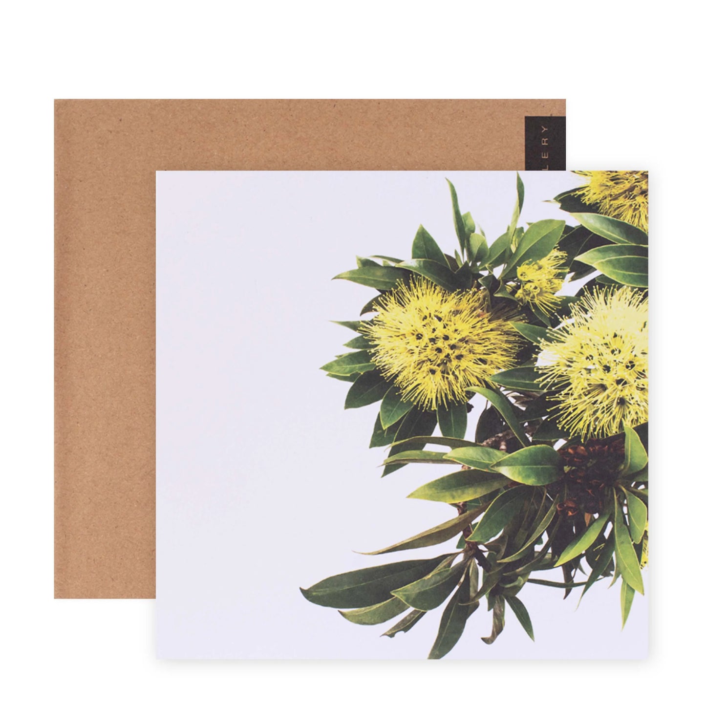 Donna Delaney Gallery Blank Greeting Card - Expo Gold | Hallmark