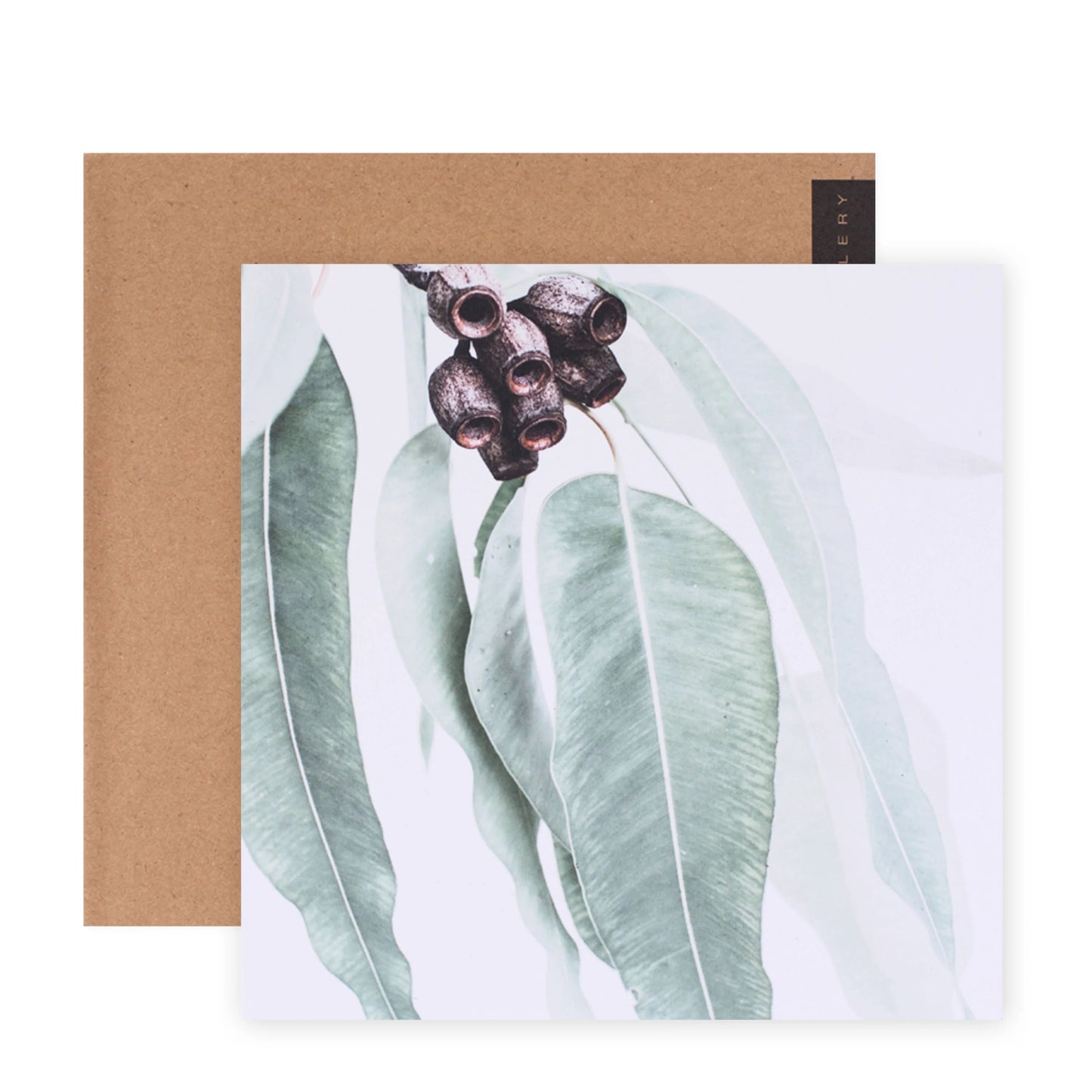 Donna Delaney Gallery Blank Greeting Card - Home Among The Gum Trees | Hallmark