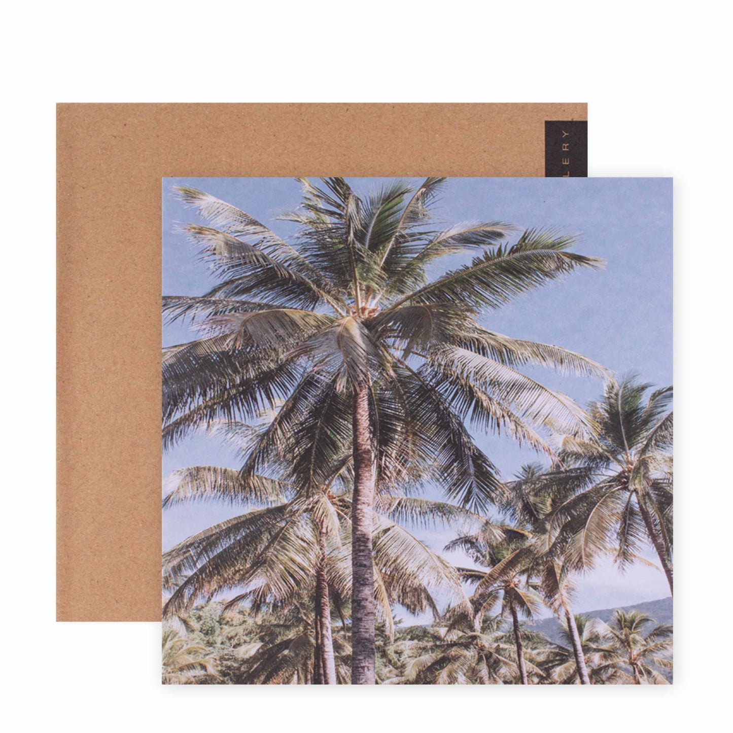 Donna Delaney Gallery Blank Greeting Card - Vintage Palms | Hallmark