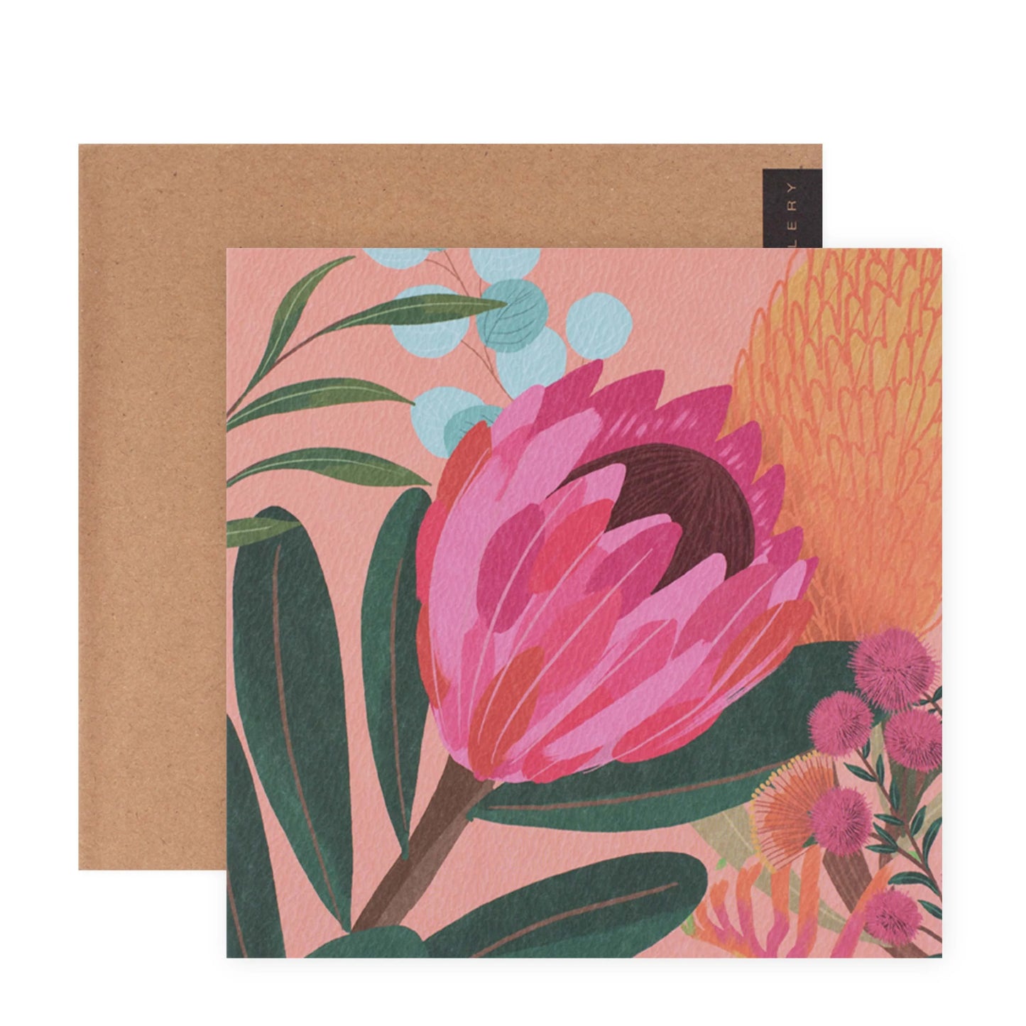 Christie Williams Gallery Blank Greeting Card - Pink Ice Protea | Hallmark