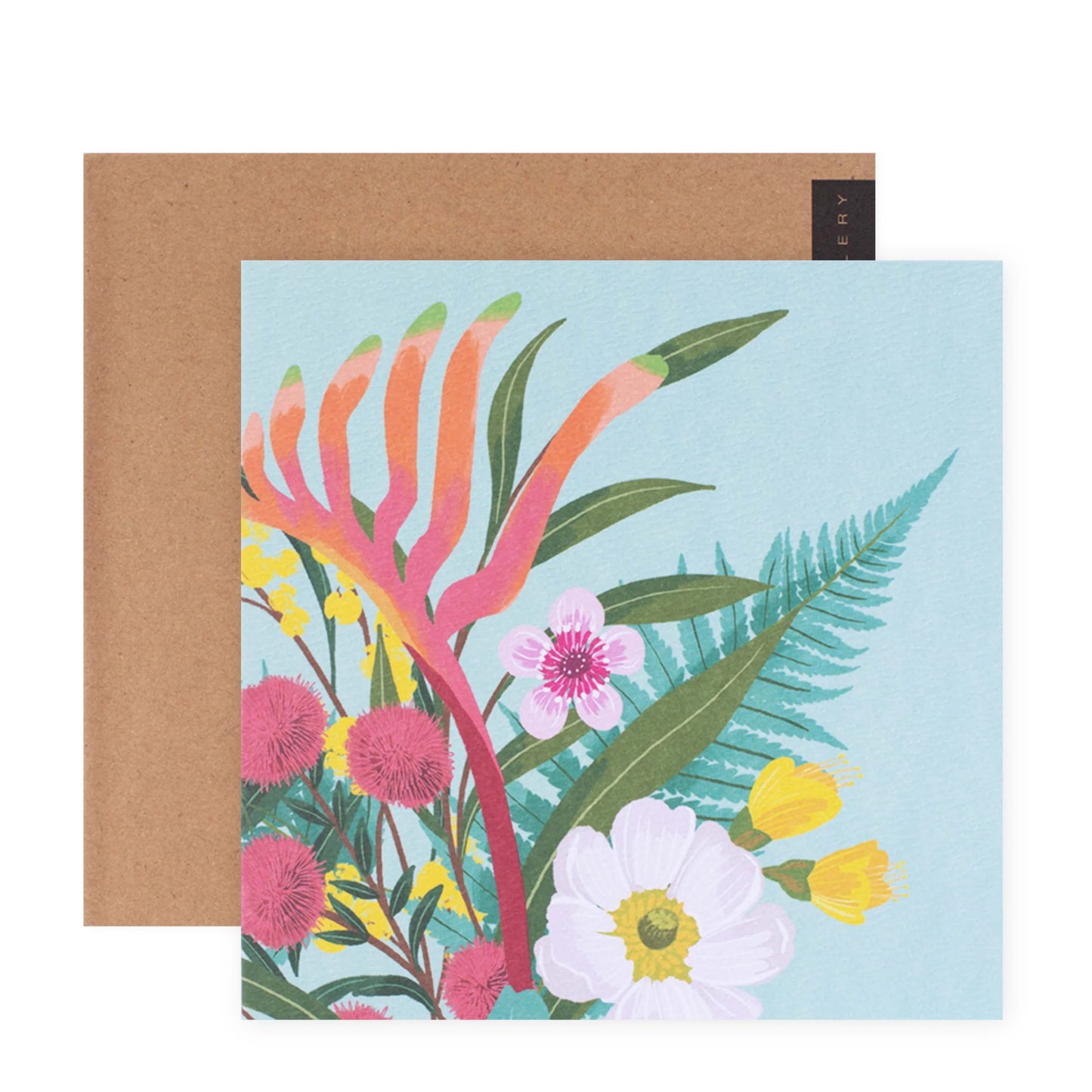 Christie Williams Gallery Blank Greeting Card - Kangaroo Paw Spray | Hallmark