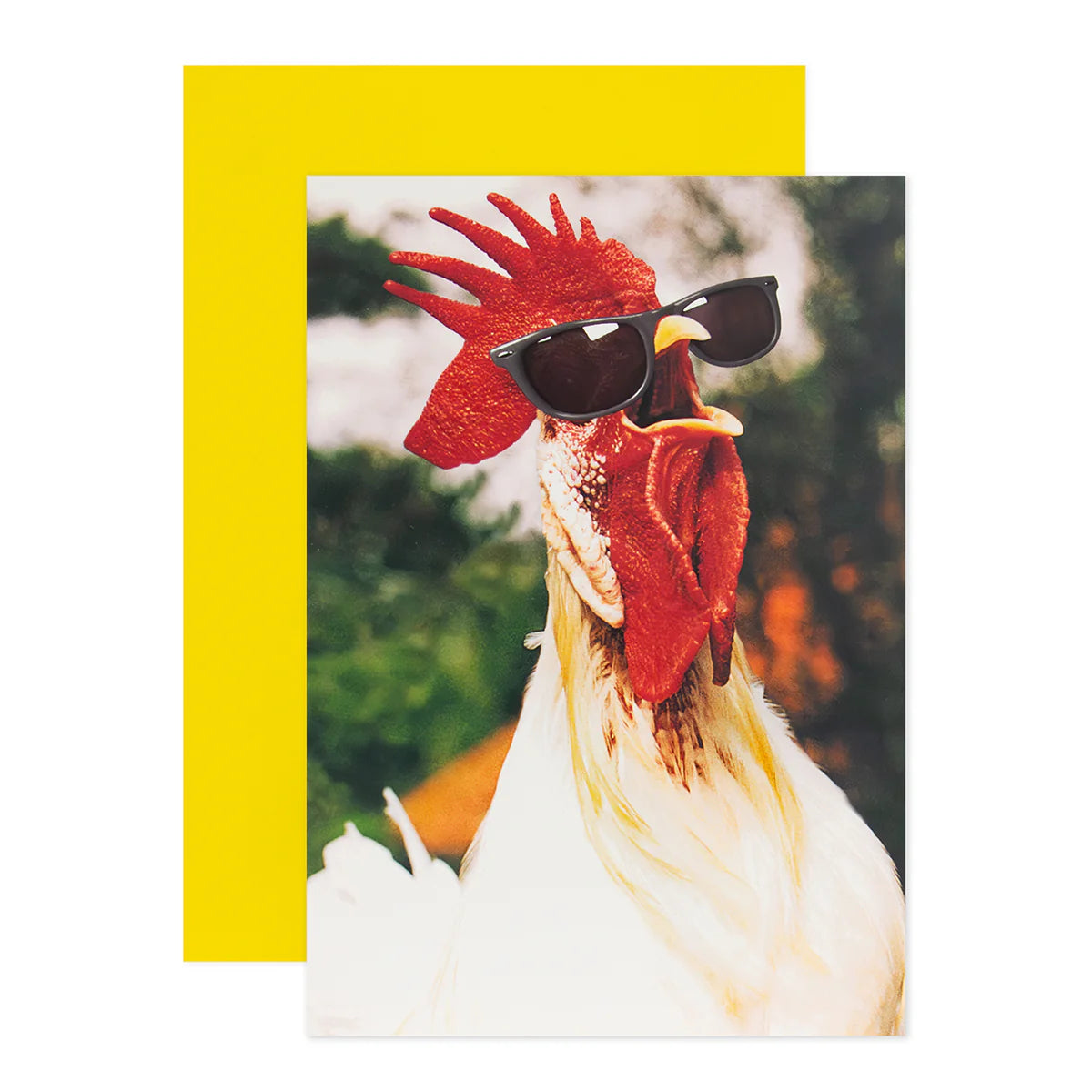 Shoebox Birthday Card - Cluckin' Awesome | Hallmark