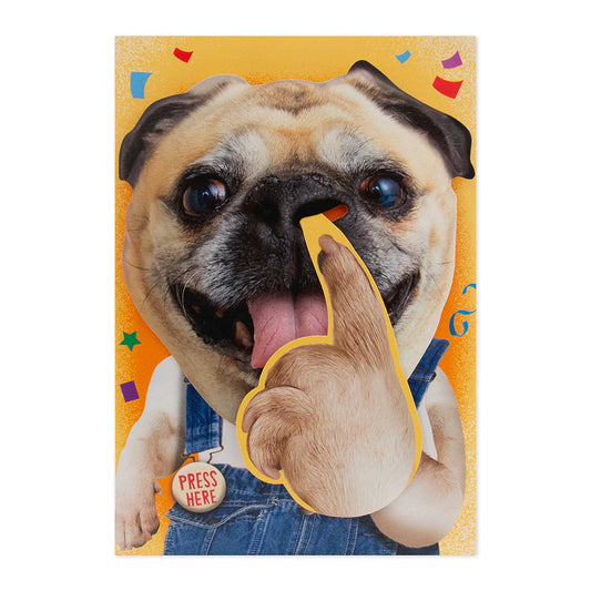 Interactive Sound Card - Pickin' Dog | Hallmark