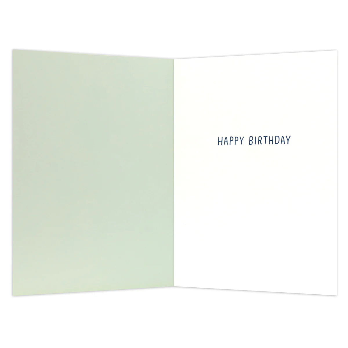Shoebox Birthday Card - Looking Sharp | Hallmark