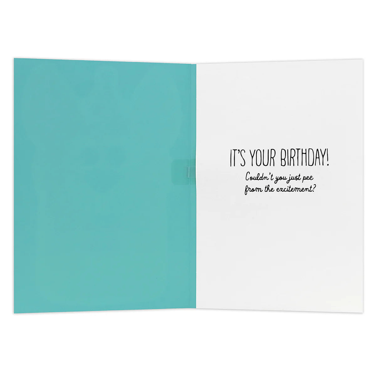 Interactive Sound Card - Barking Birthday Song | Hallmark