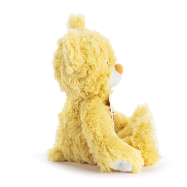 You Are My Sunshine Yellow Bear | Beary Charmings