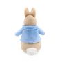 Peter Rabbit Silky Beanbag Soft Toys