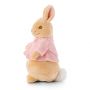 Peter Rabbit Silky Beanbag Soft Toys