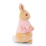 Peter Rabbit Silky Beanbag Soft Toys