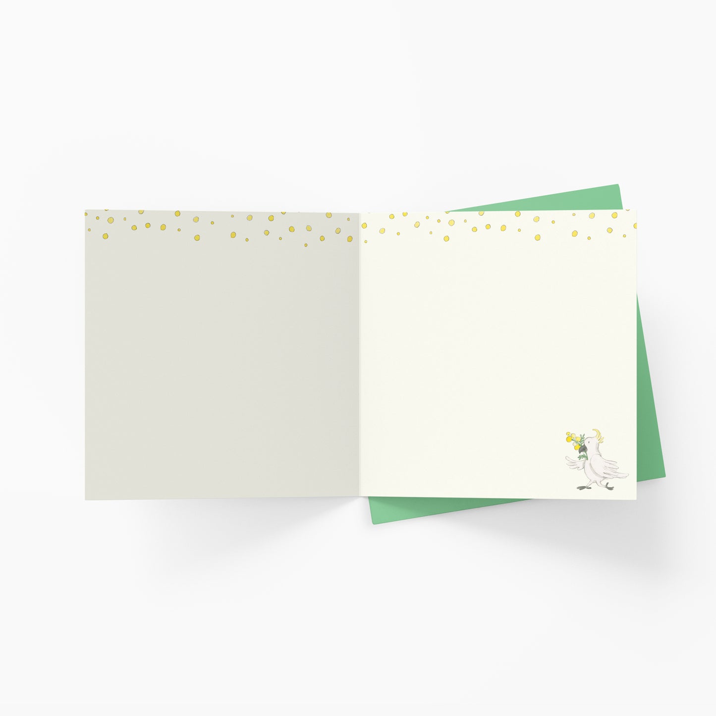 Happy Birthday | Twigseeds Greeting Card