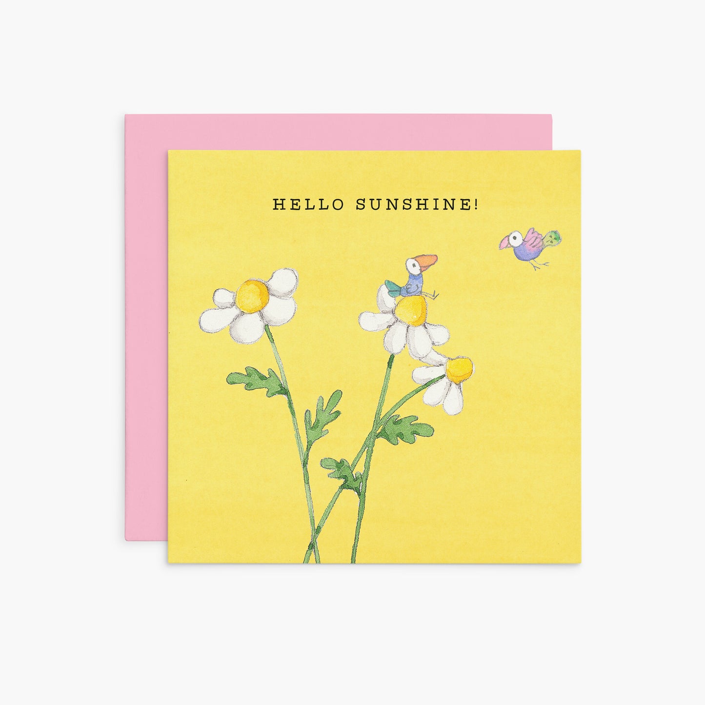 Hello Sunshine! | Twigseeds Greeting Card