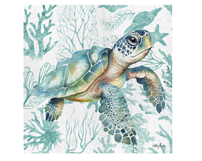 Coastal Turtle Canvas - 20x20cm (by Kelly Lane)