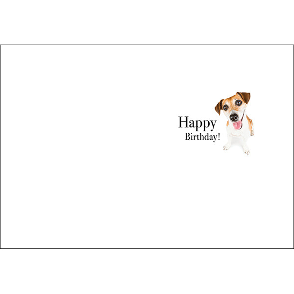 Did someone say cake? | Dog Animal Birthday Card