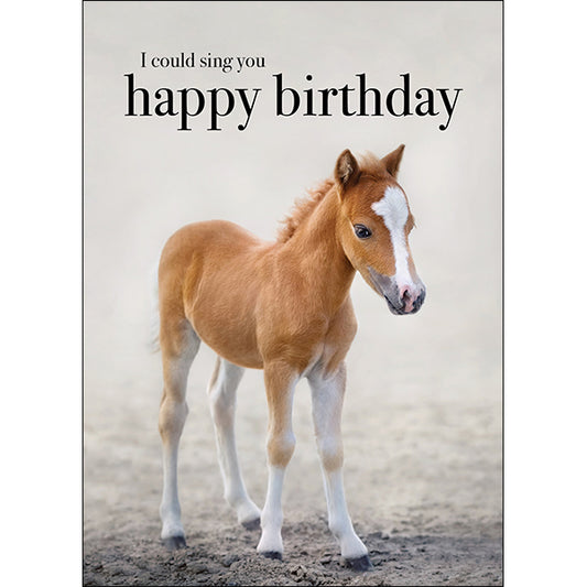 I could sing you Happy Birthday | Horse Animal Birthday Card