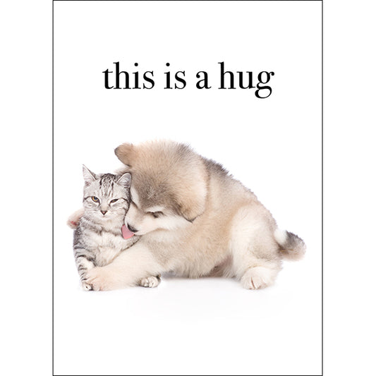 This Is A Hug | Animal Greeting Card