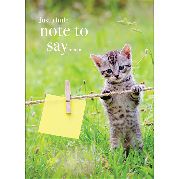 Just a note to say... | Animal Greeting Card