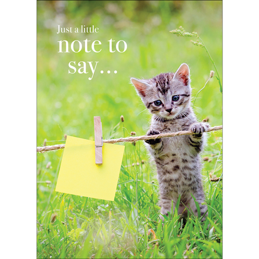 Just a note to say... | Animal Greeting Card