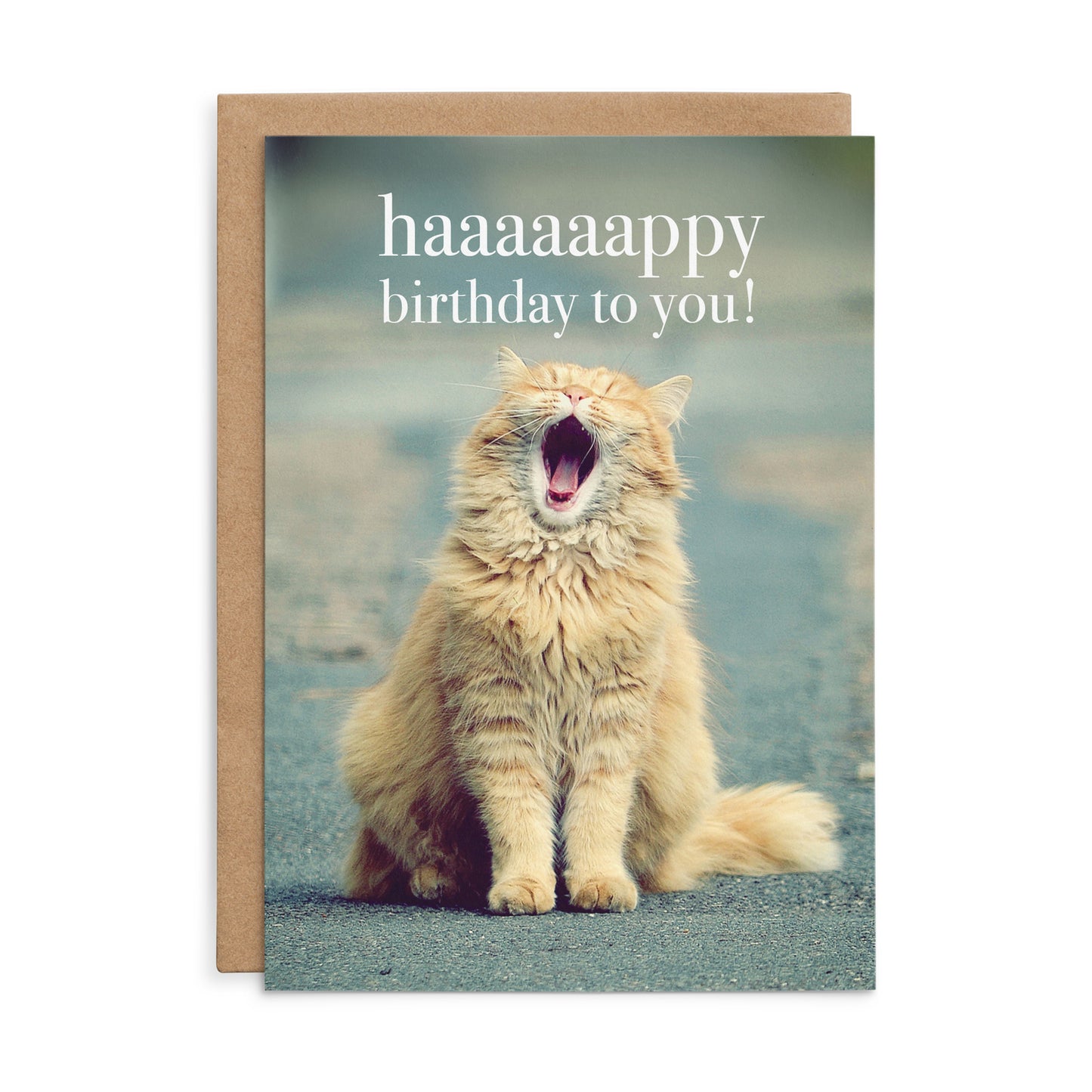 May All Your Wishes Come True | Cat Birthday Card