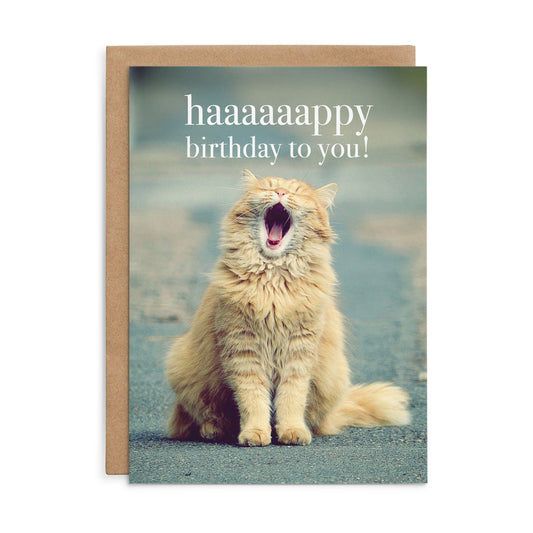 May All Your Wishes Come True | Cat Birthday Card