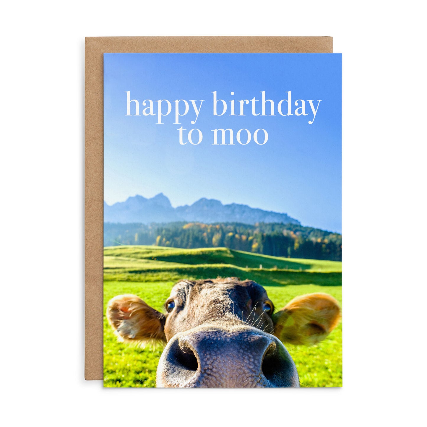 Happy birthday to moo | Cow Birthday Card